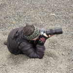 Julie Stephenson in the Iceland and Greenland landscape-222