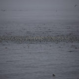 IMG_4855