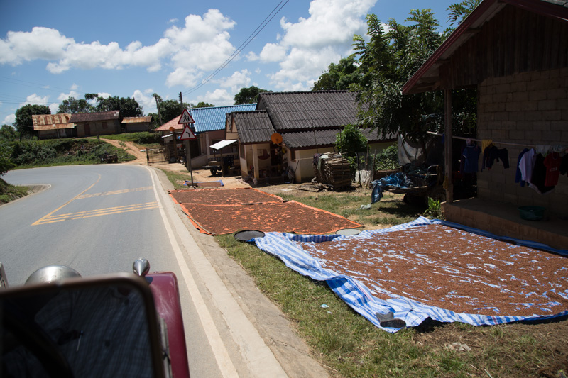 4 days in Laos
